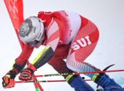 开云体育app-德国选手在高山滑雪赛事中夺魁