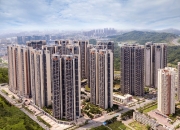 开云体育app-重庆力帆深圳佳兆业比分解读，力帆占优的简单介绍