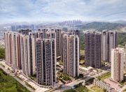 开云体育app-重庆力帆深圳佳兆业比分解读，力帆占优的简单介绍