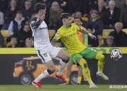 开云体育登录-诺里奇主场迎战伯恩利，双方苦苦追逐积分的简单介绍