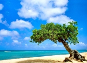 开云体育中国官网-浙江队稳稳拿下灰熊，拉文完成自我救赎—篮球场上的双重启示