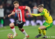 开云体育中国官网-诺里奇主场保持不败，稳定排名的简单介绍