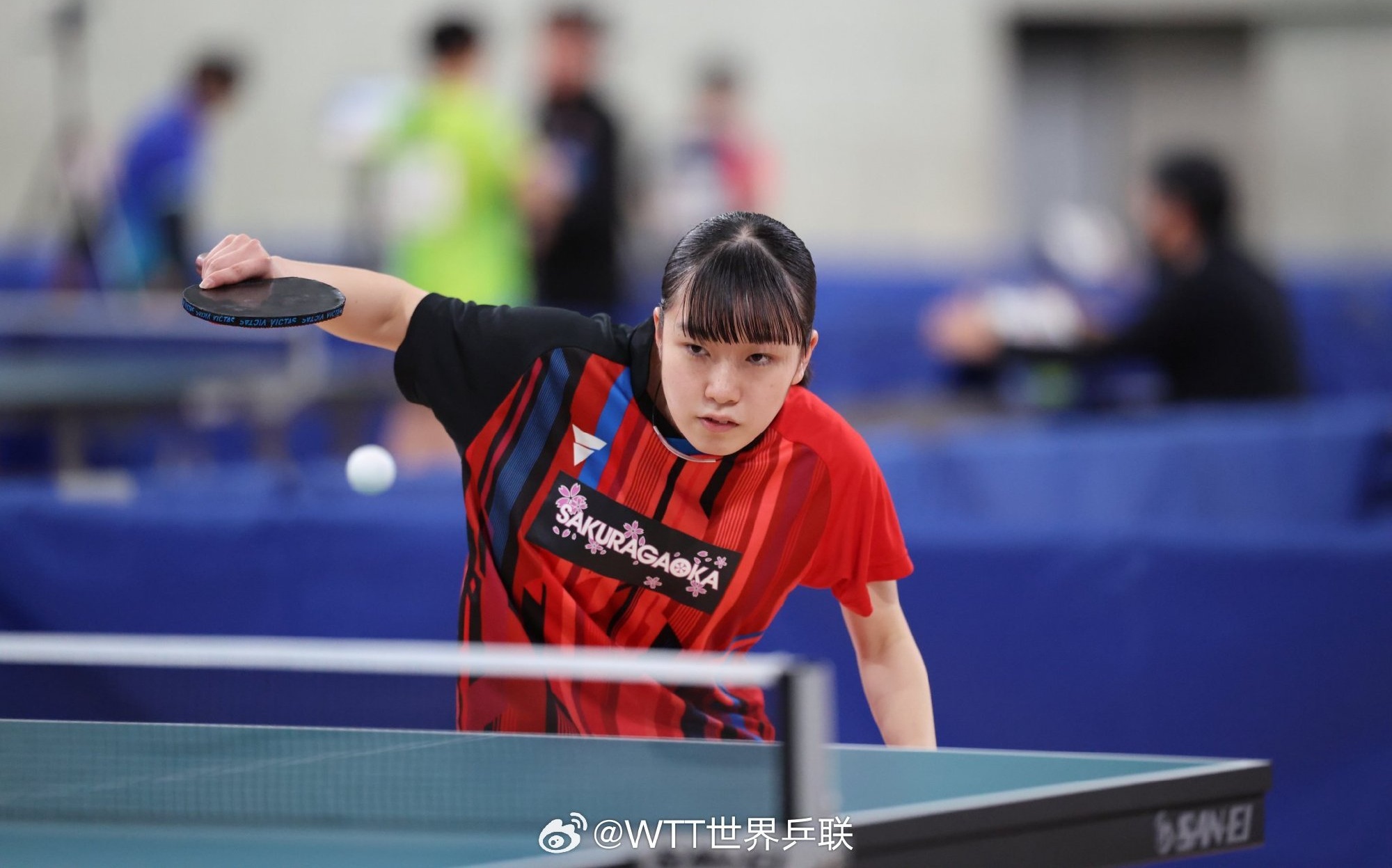 日本队在亚洲锦标赛上表现出色