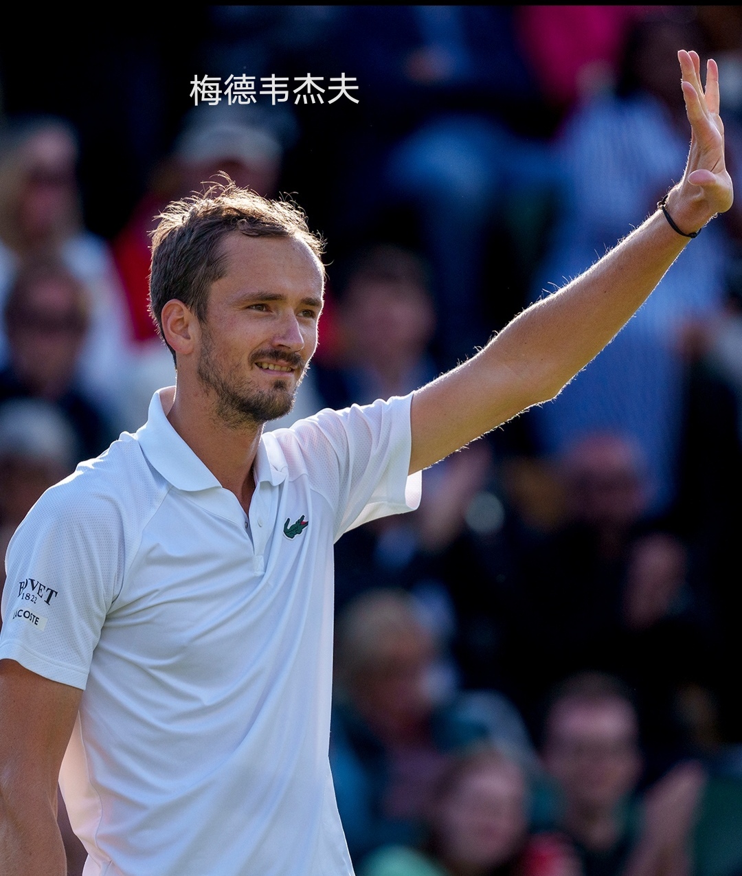 温网力克法网，梅德韦杰夫带队取胜