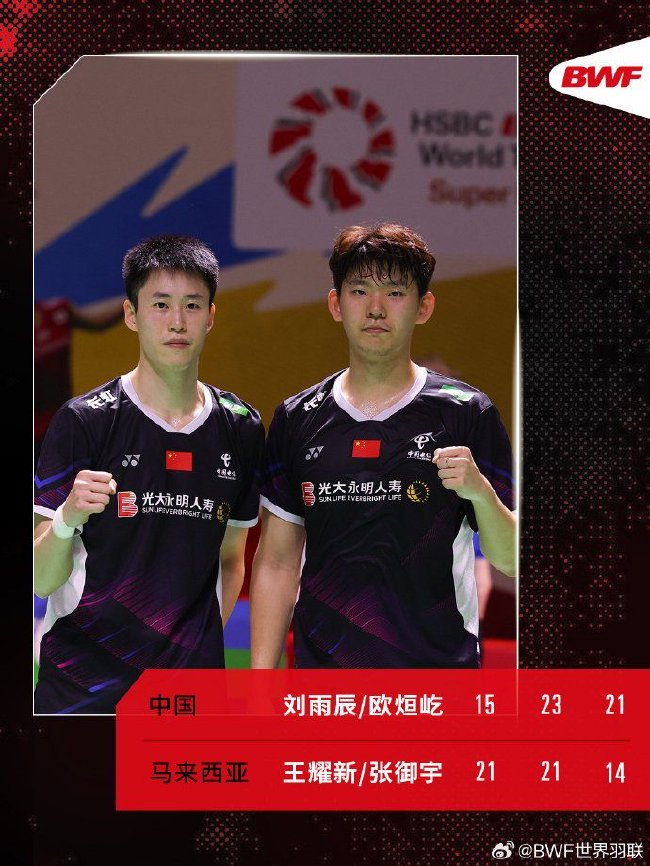 法国队力克德国队，郑思维关键制胜的简单介绍